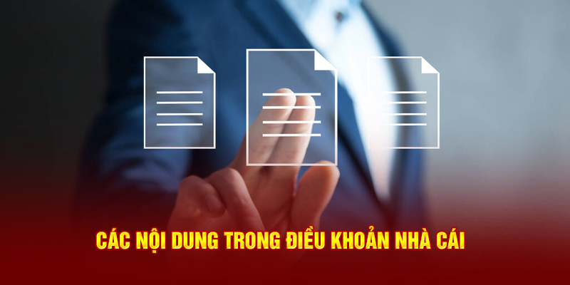 Các nội dung trong điều khoản nhà cái