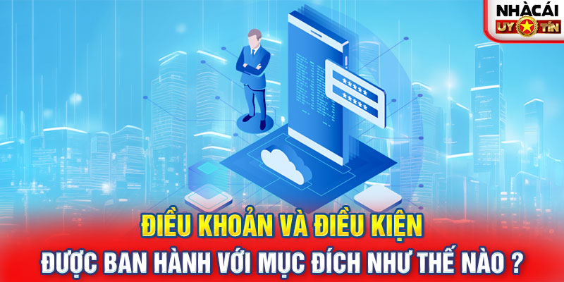 Điều khoản và điều kiện được ban hành với mục đích như thế nào ?